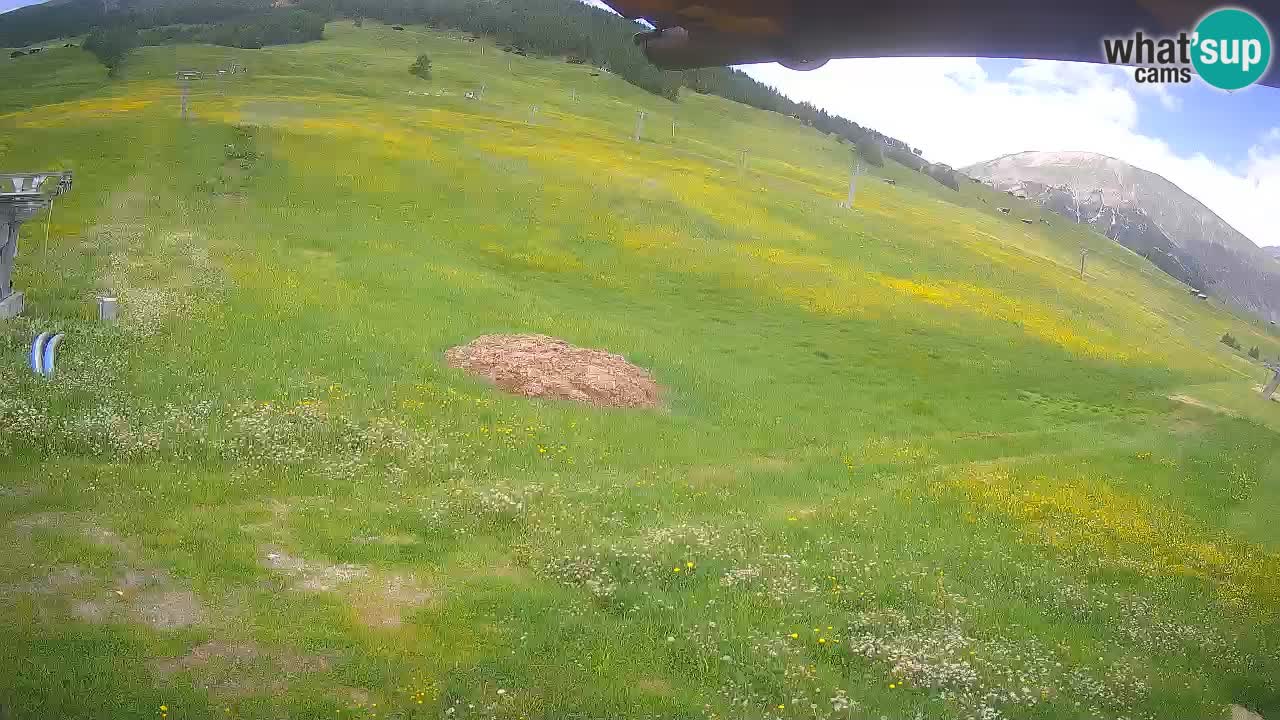 Livigno webcam – view on Livigno Ski School area – LivignoGO