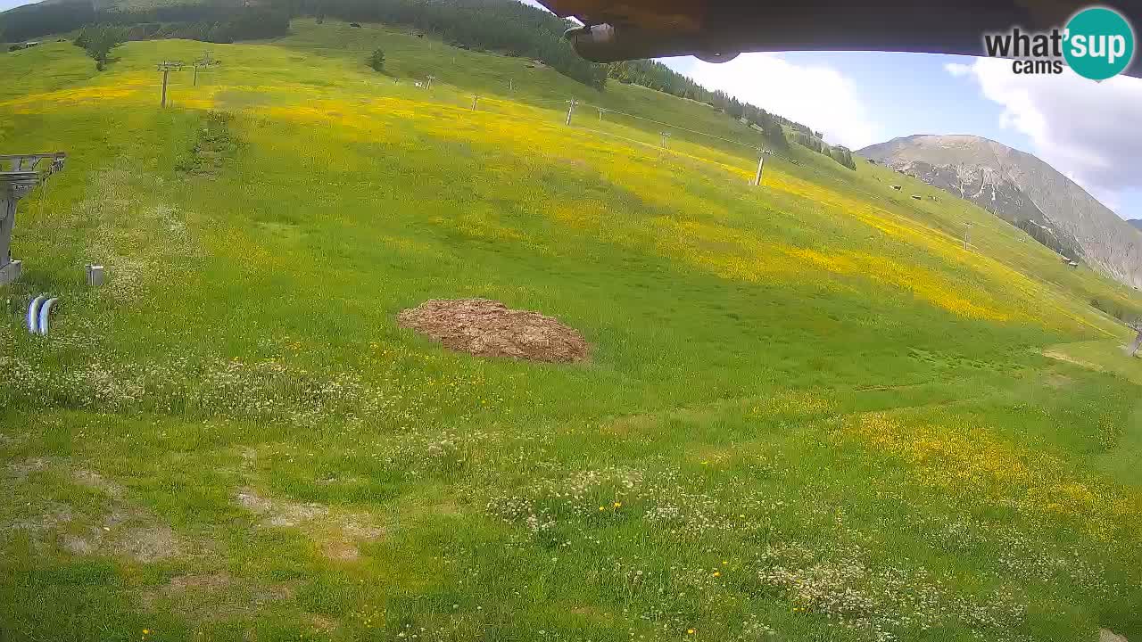 Livigno web kamera – pogled na Livigno Ski School area – LivignoGO