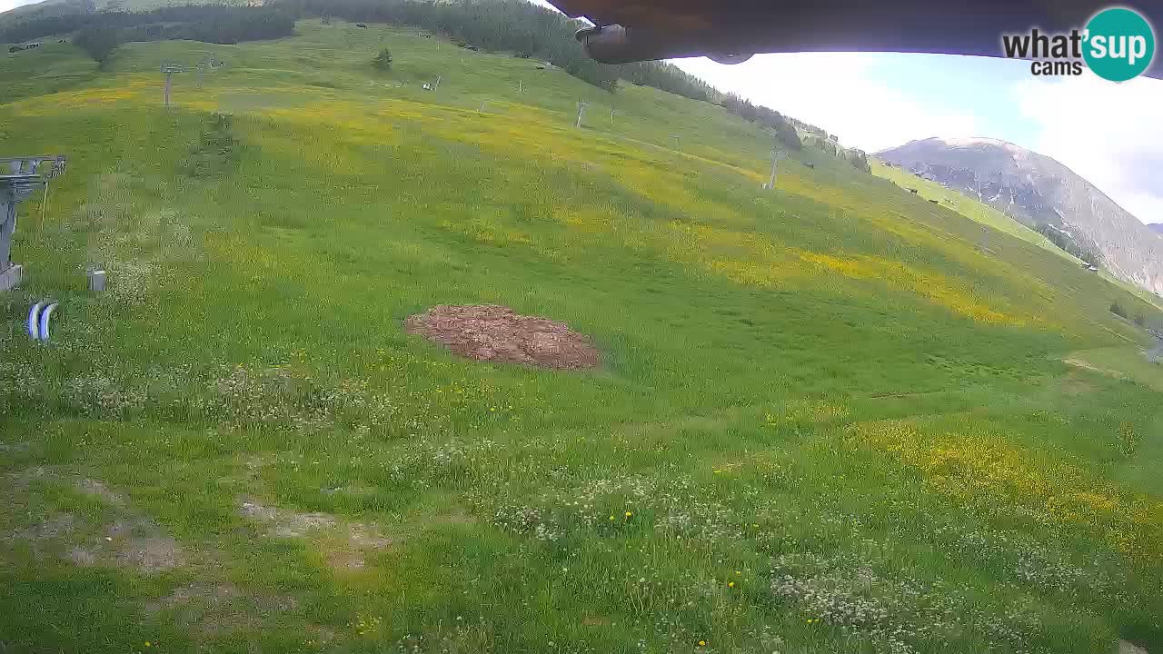 Livigno webcam – view on Livigno Ski School area – LivignoGO