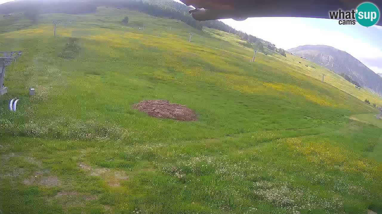 Livigno webcam – view on Livigno Ski School area – LivignoGO