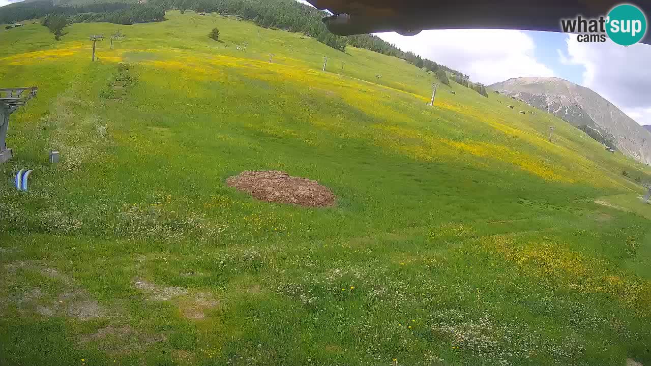Livigno webcam – view on Livigno Ski School area – LivignoGO