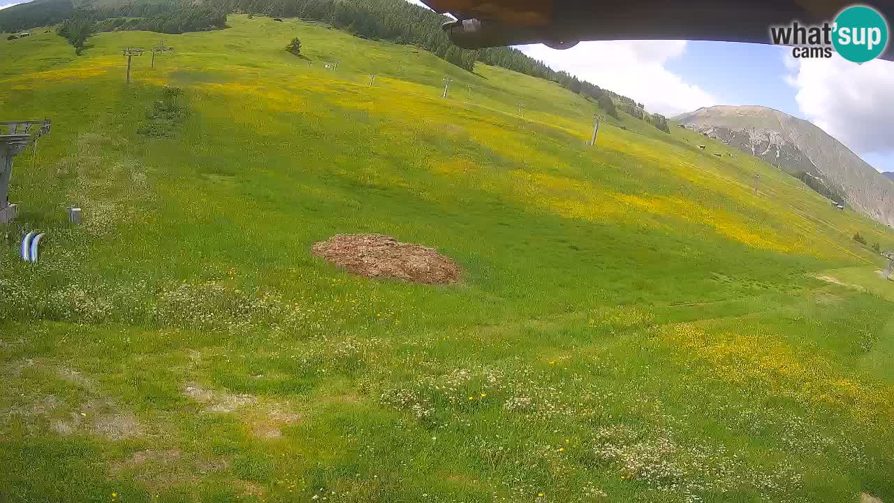 Livigno web kamera – pogled na Livigno Ski School area – LivignoGO