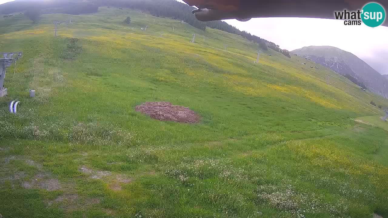 Livigno webcam – view on Livigno Ski School area – LivignoGO