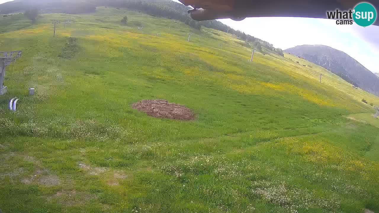 Livigno SKI webcam | Piste da SCI