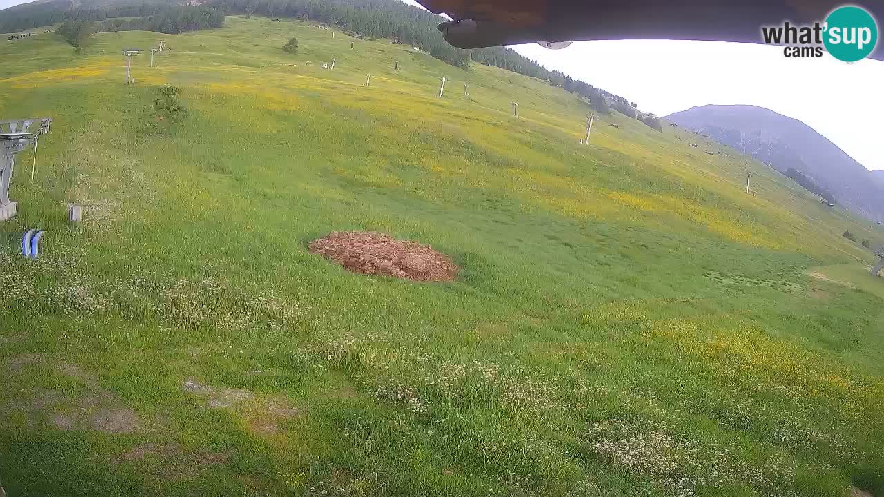 Livigno LIVE cam smučišče | pogled na smučarske proge