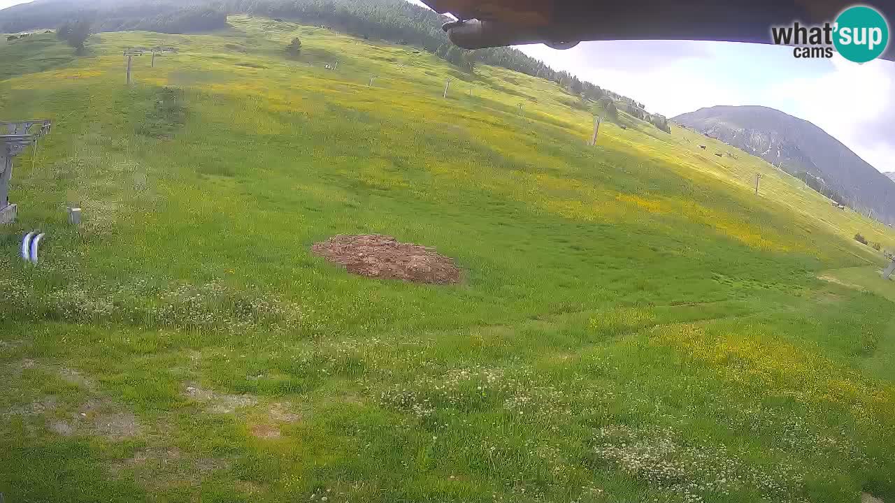 Livigno SKI webcam | Piste da SCI