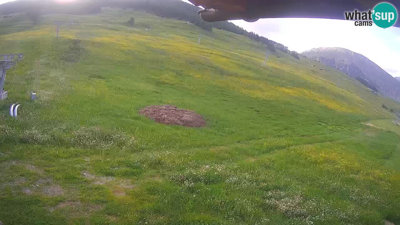 Livigno webcam – view on Livigno Ski School area – LivignoGO