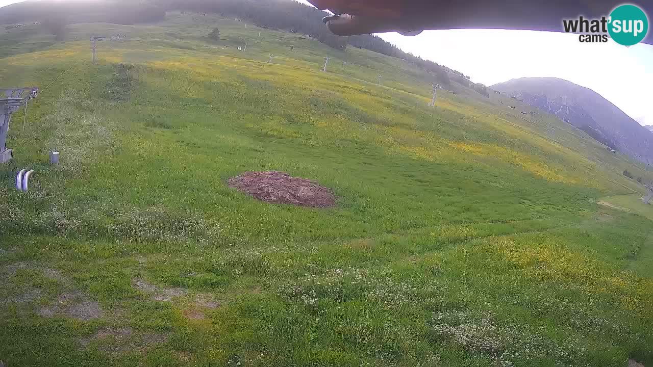 Livigno SKI webcam | Piste da SCI