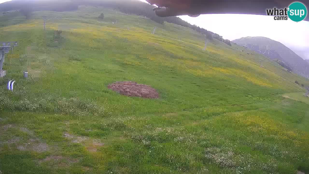 Livigno SKI webcam | Piste da SCI