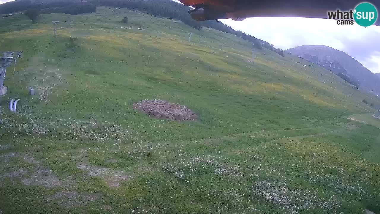 Livigno webcam – view on Livigno Ski School area – LivignoGO