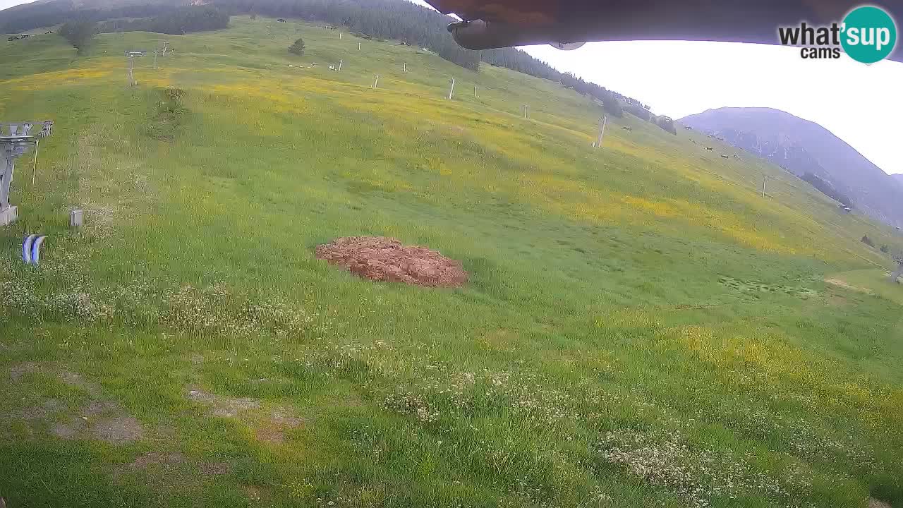 Livigno webcam – view on Livigno Ski School area – LivignoGO