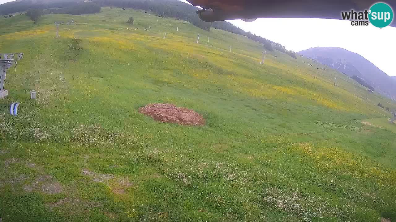 Livigno webcam – view on Livigno Ski School area – LivignoGO