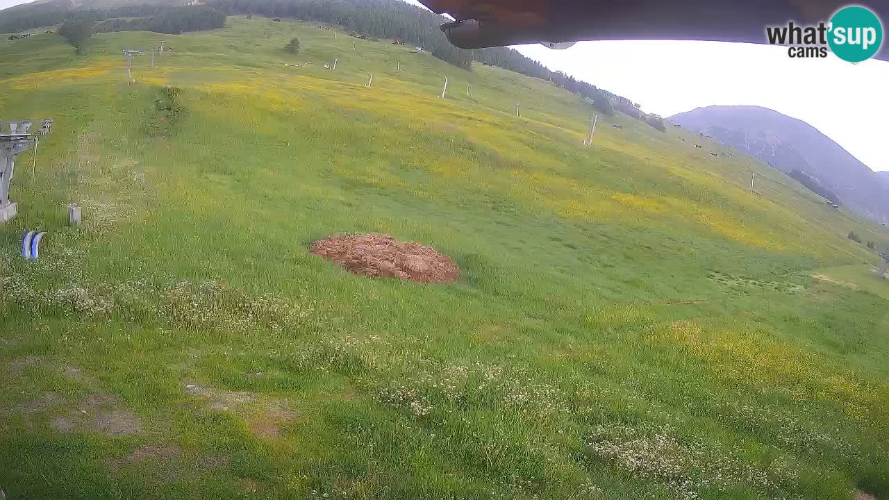 Livigno web kamera – pogled na Livigno Ski School area – LivignoGO