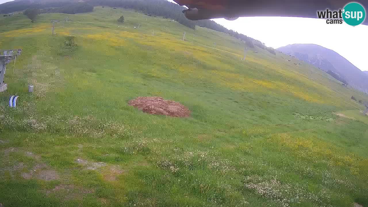 Livigno live webcam – view on Livigno Ski School area – LivignoGO