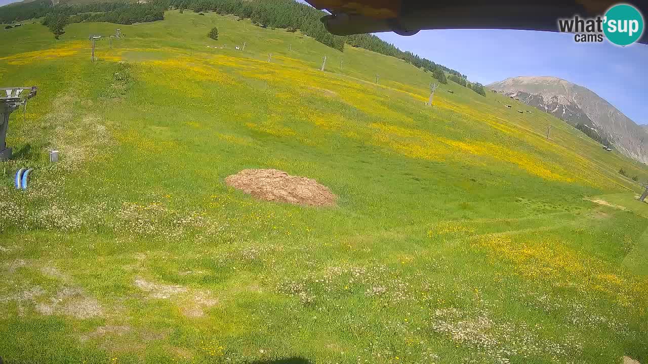 Livigno SKI webcam | Piste da SCI