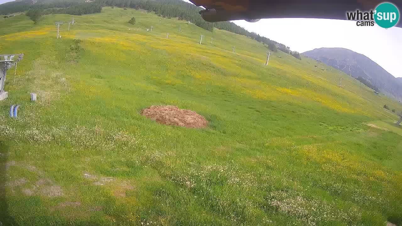 Livigno live webcam – view on Livigno Ski School area – LivignoGO