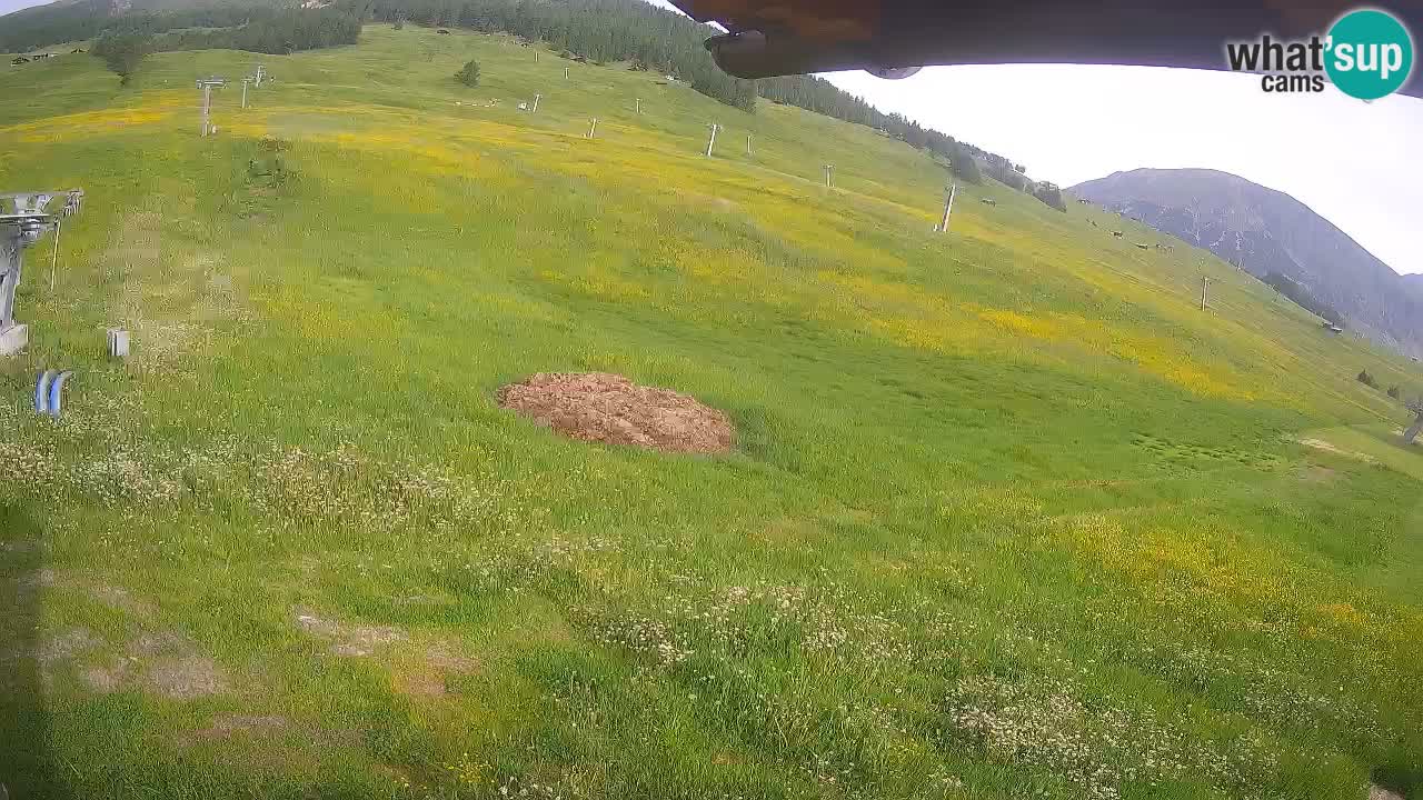 LIVIGNO Skigebiet webcam | Skipisten