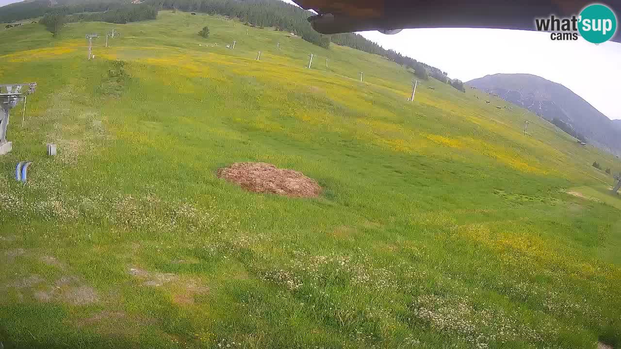 Livigno live webcam – view on Livigno Ski School area – LivignoGO