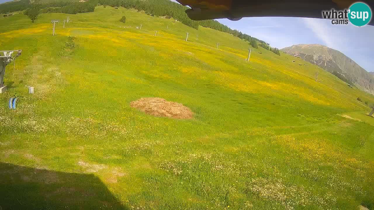 Livigno LIVE cam smučišče | pogled na smučarske proge