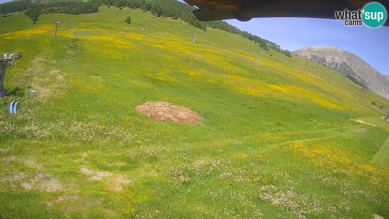 Livigno live webcam – view on Livigno Ski School area – LivignoGO