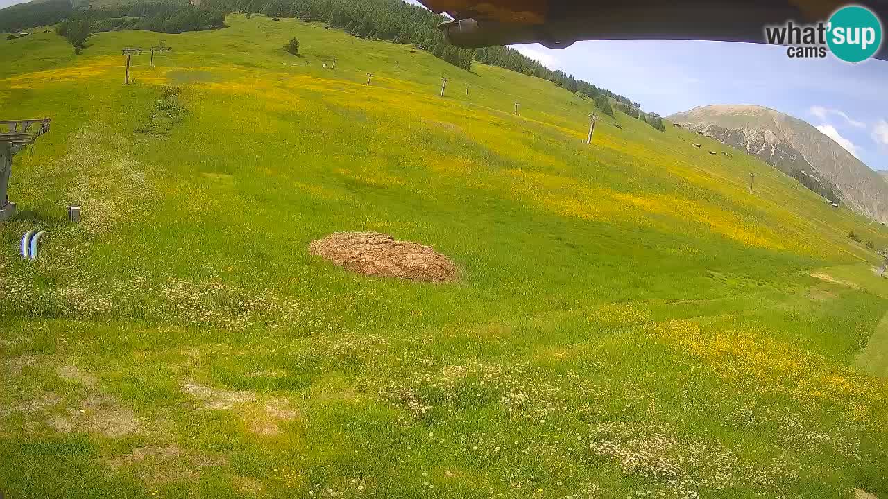 Livigno live webcam – view on Livigno Ski School area – LivignoGO