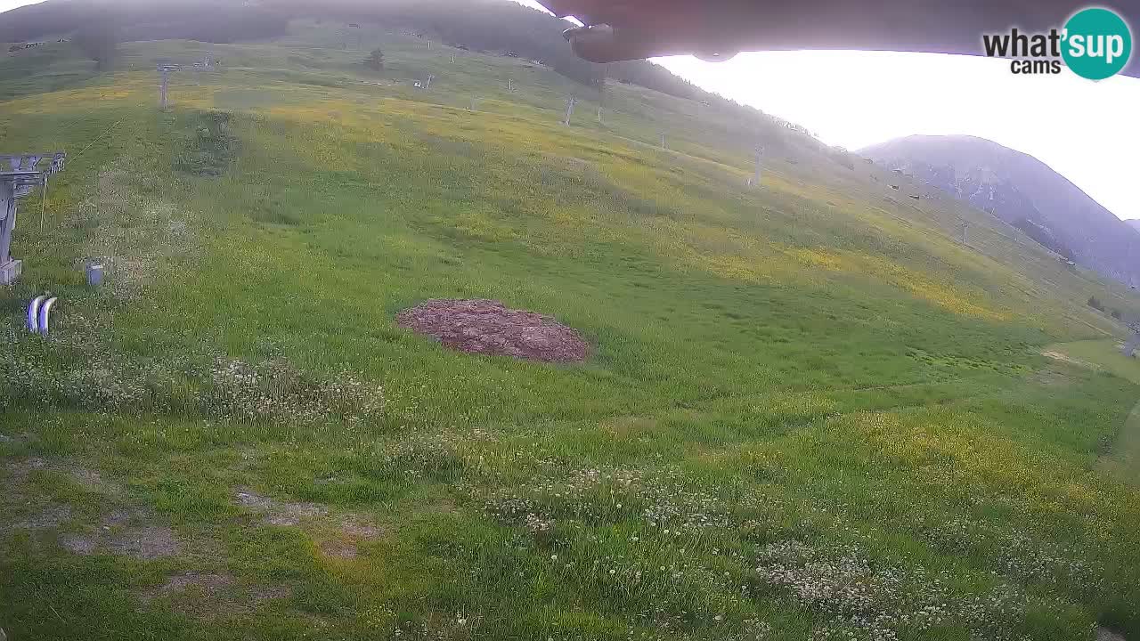 Livigno live webcam – view on Livigno Ski School area – LivignoGO