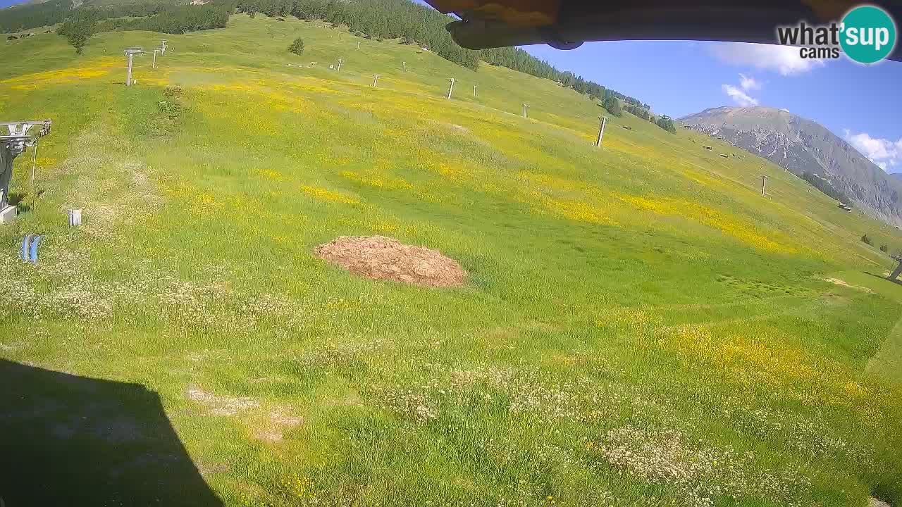 Livigno live webcam – view on Livigno Ski School area – LivignoGO
