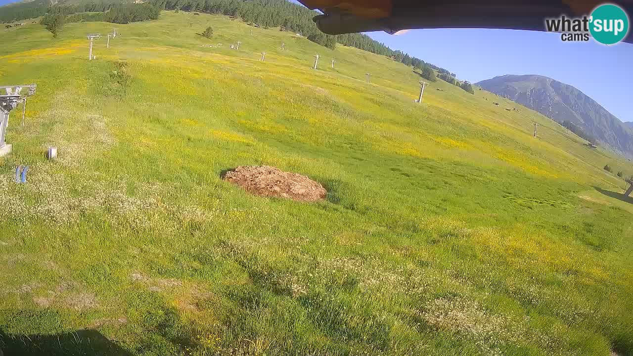 Livigno live webcam – view on Livigno Ski School area – LivignoGO