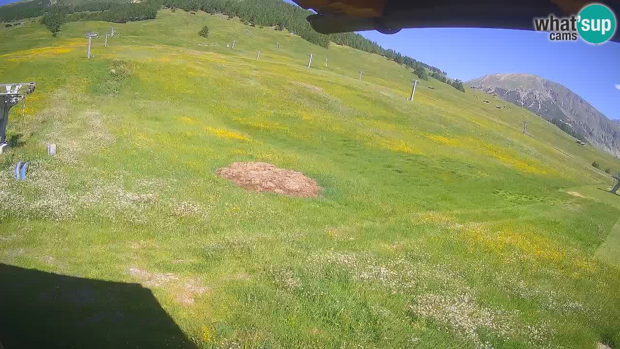 Livigno live webcam – view on Livigno Ski School area – LivignoGO