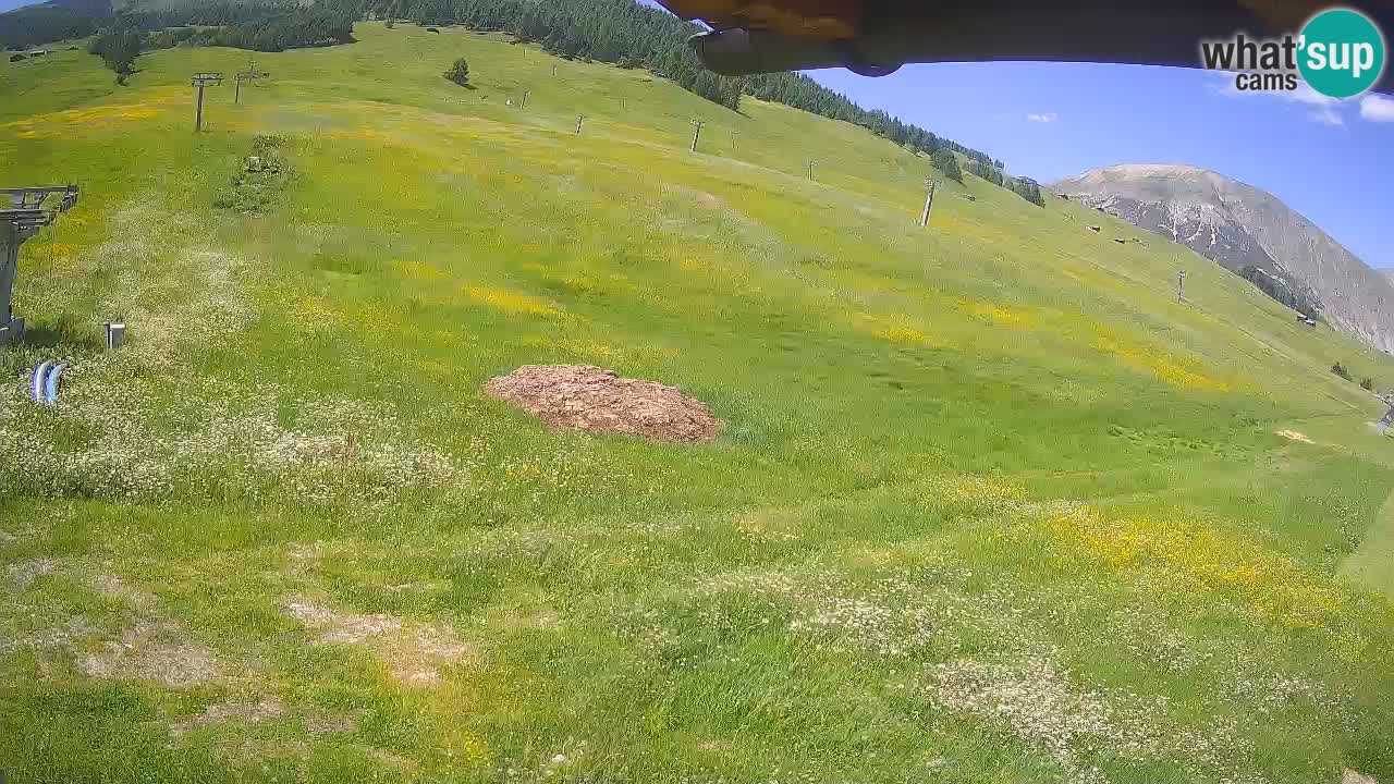Livigno live webcam – view on Livigno Ski School area – LivignoGO