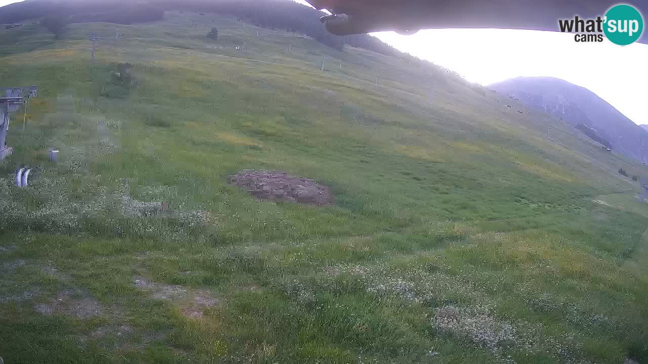 Livigno live webcam – view on Livigno Ski School area – LivignoGO