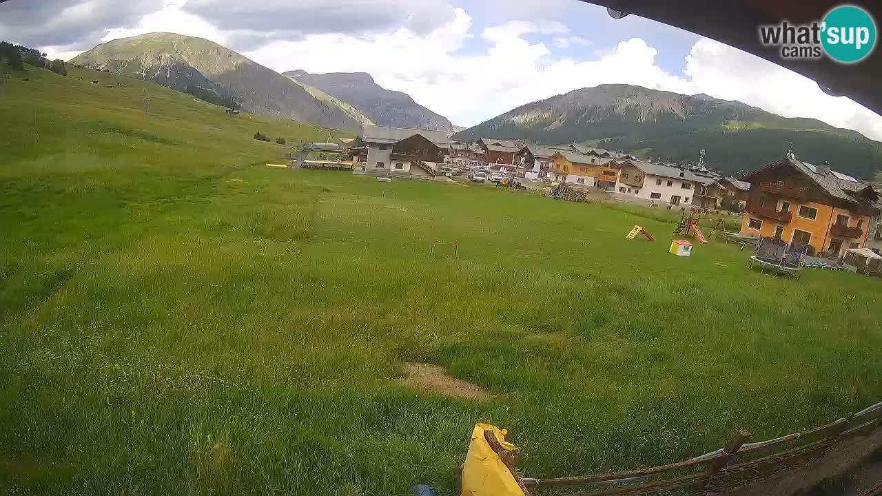 Livigno SKI webcam | Piste da SCI