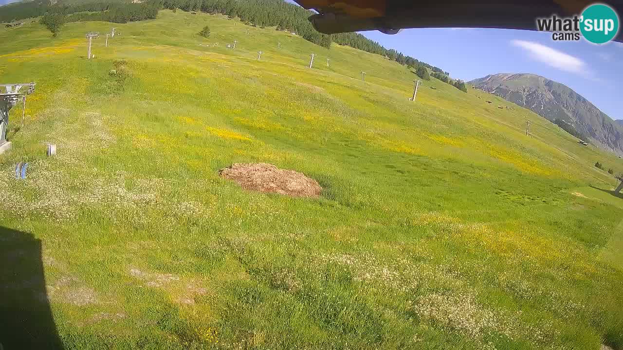Livigno LIVE cam smučišče | pogled na smučarske proge