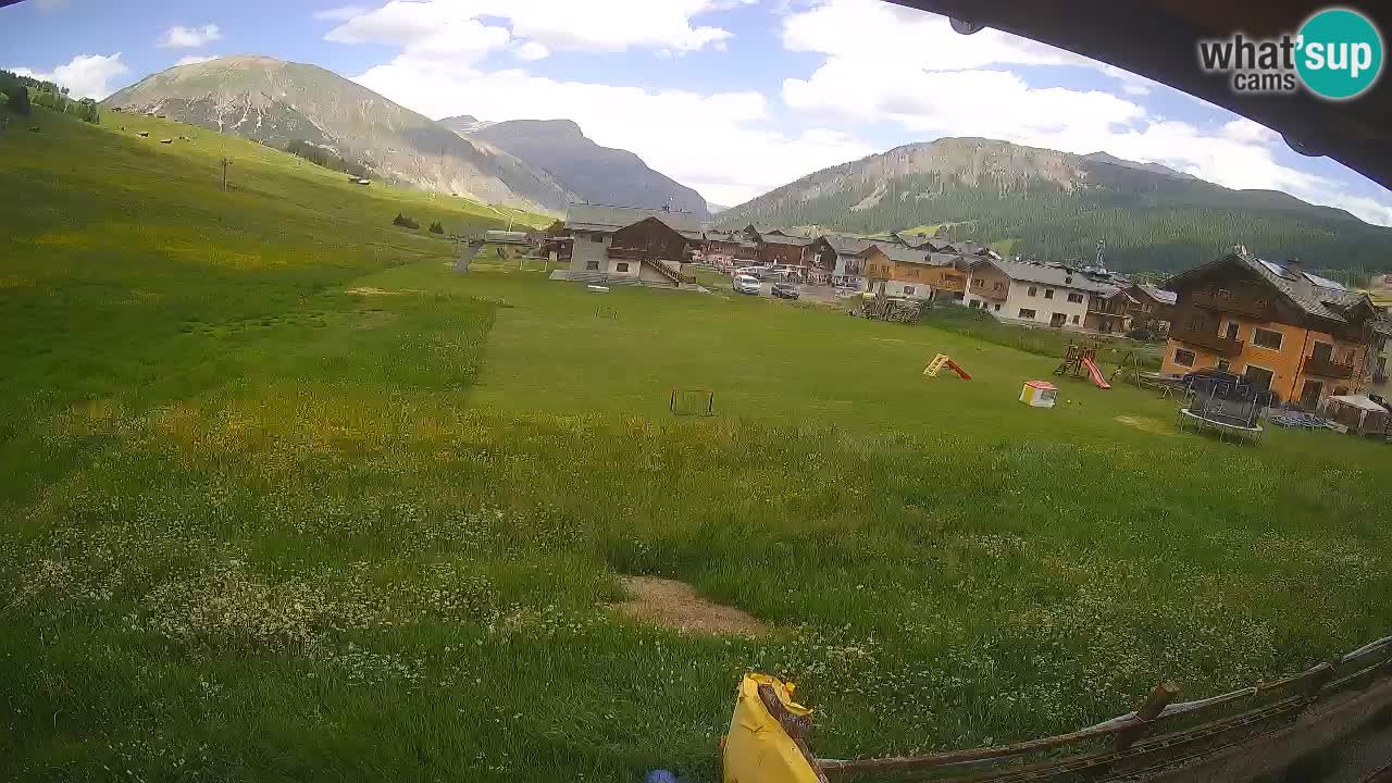 Livigno SKI webcam | Piste da SCI