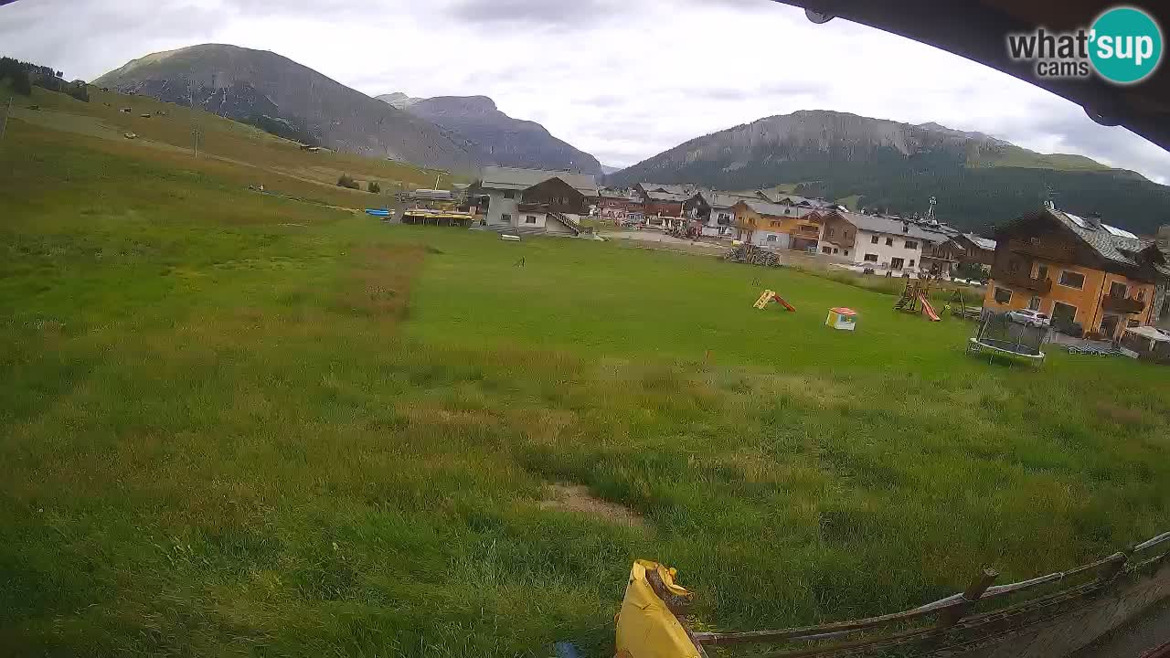 Livigno SKI webcam | Piste da SCI
