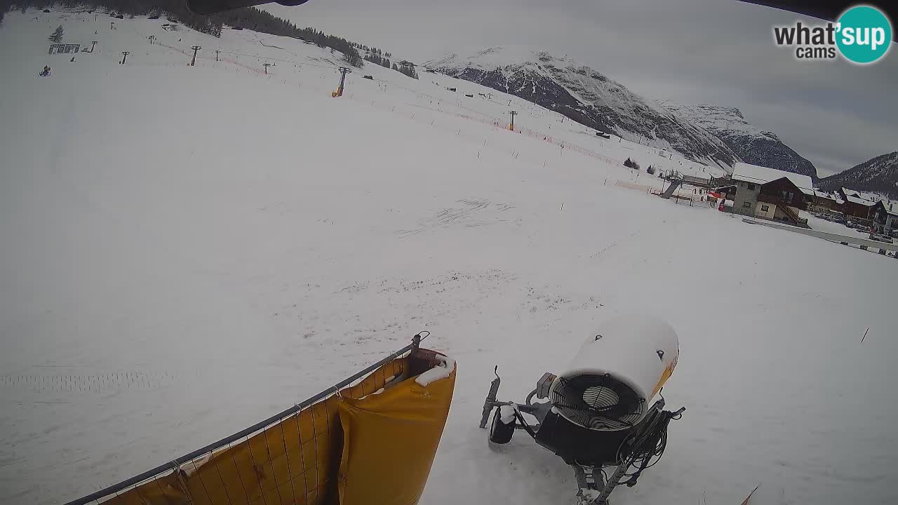 Livigno webcam – view on Livigno Ski School area – LivignoGO