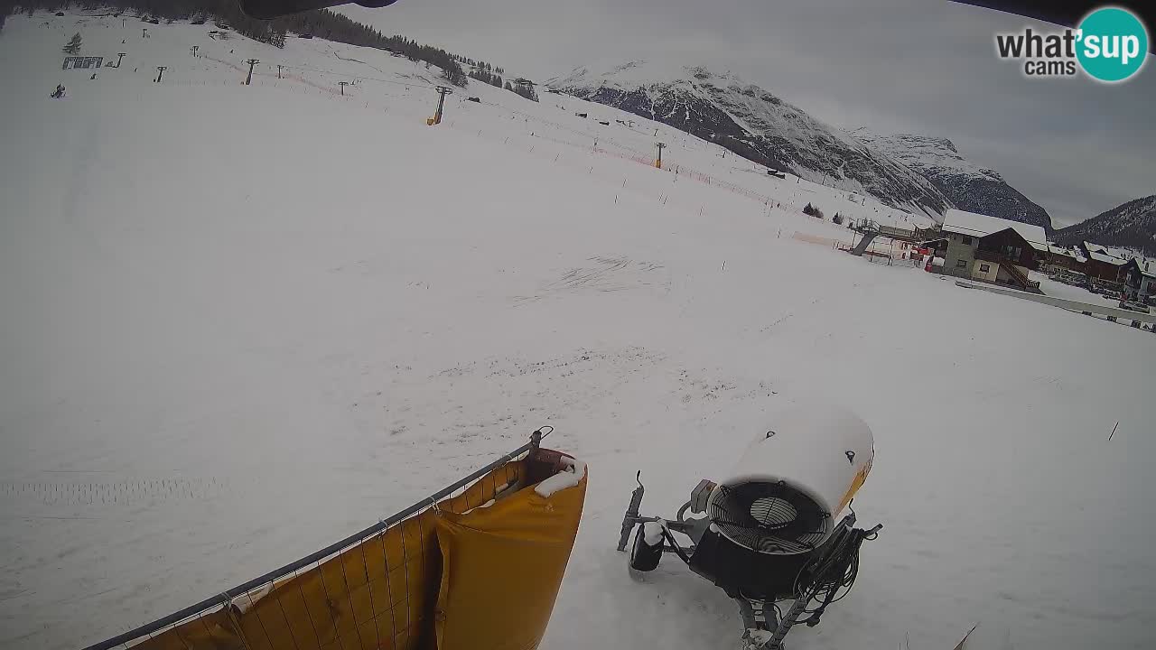 Livigno webcam – view on Livigno Ski School area – LivignoGO