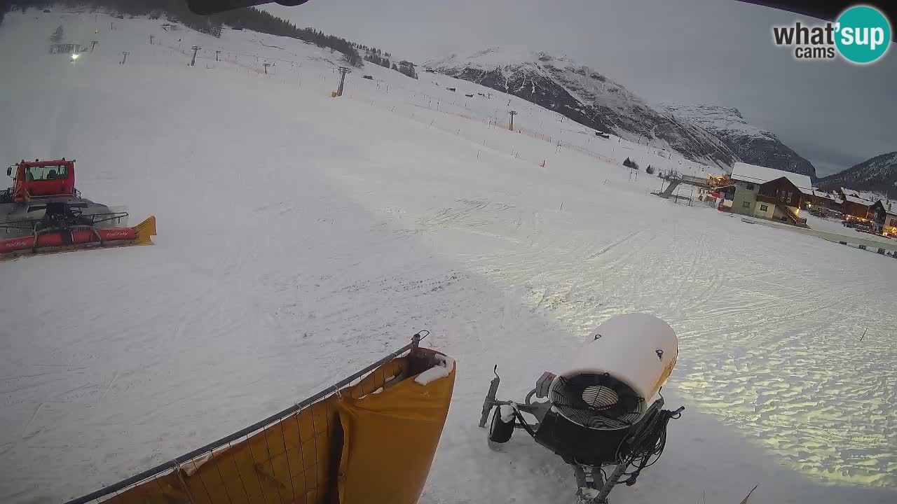 Livigno SKI webcam | Piste da SCI