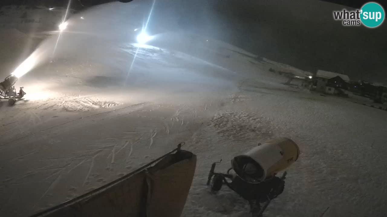 Livigno SKI webcam | Piste da SCI