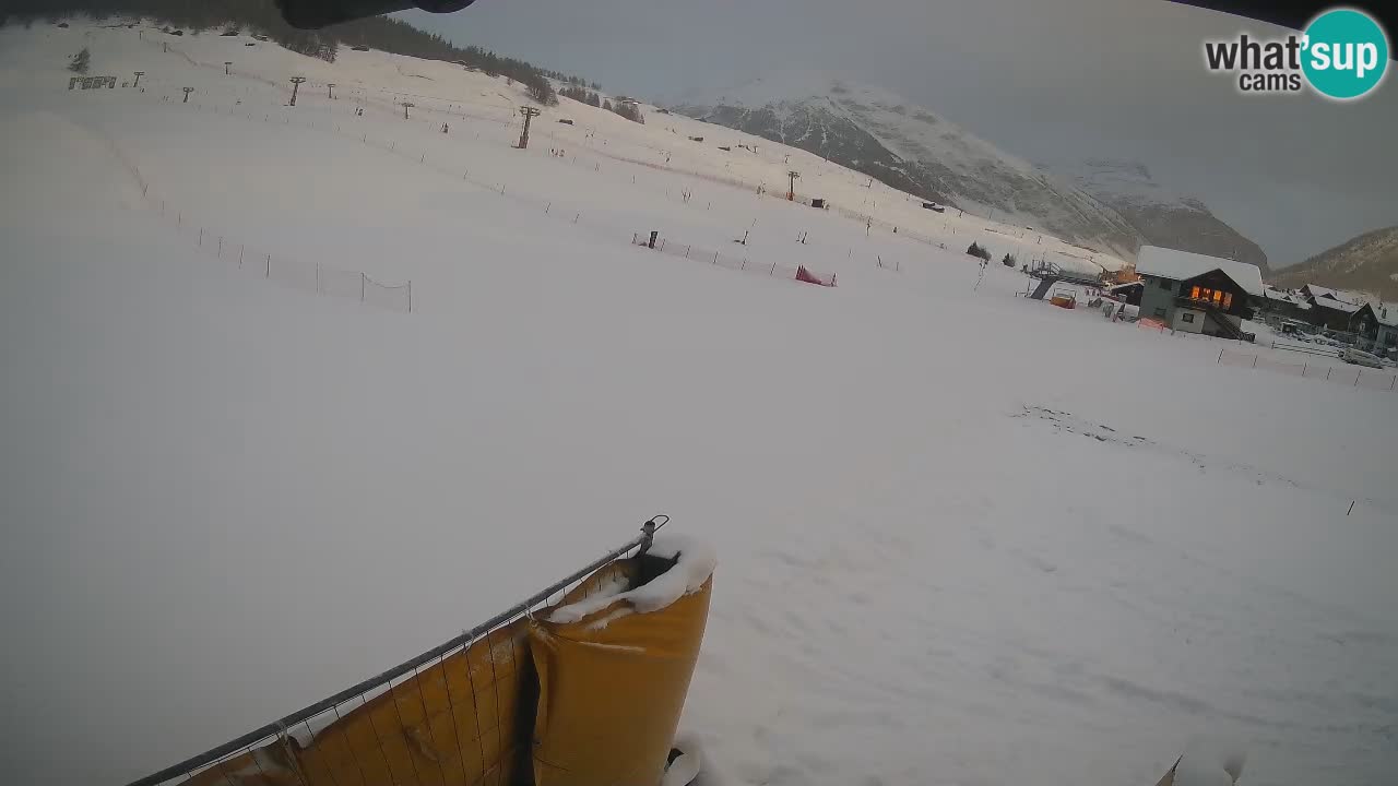 Livigno SKI webcam | Piste da SCI