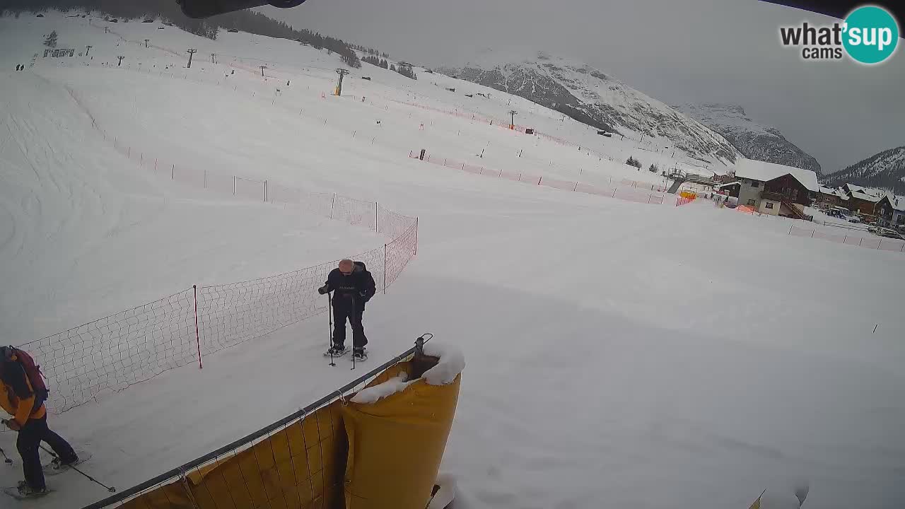 Livigno webcam – view on Livigno Ski School area – LivignoGO