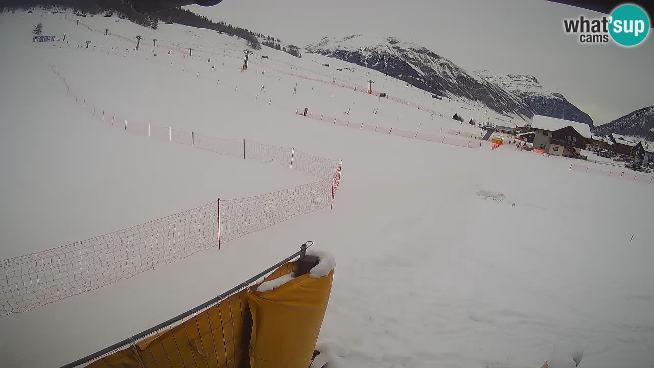 Livigno SKI webcam | Piste da SCI