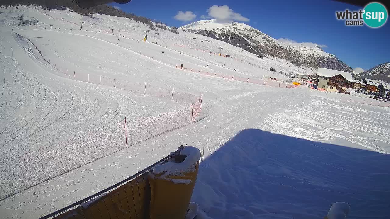 Livigno SKI webcam | Piste da SCI