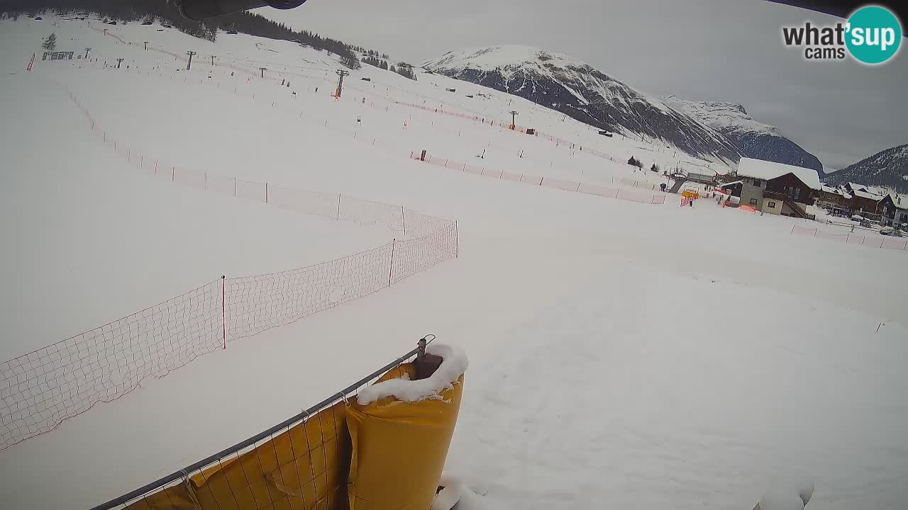 Livigno webcam – view on Livigno Ski School area – LivignoGO
