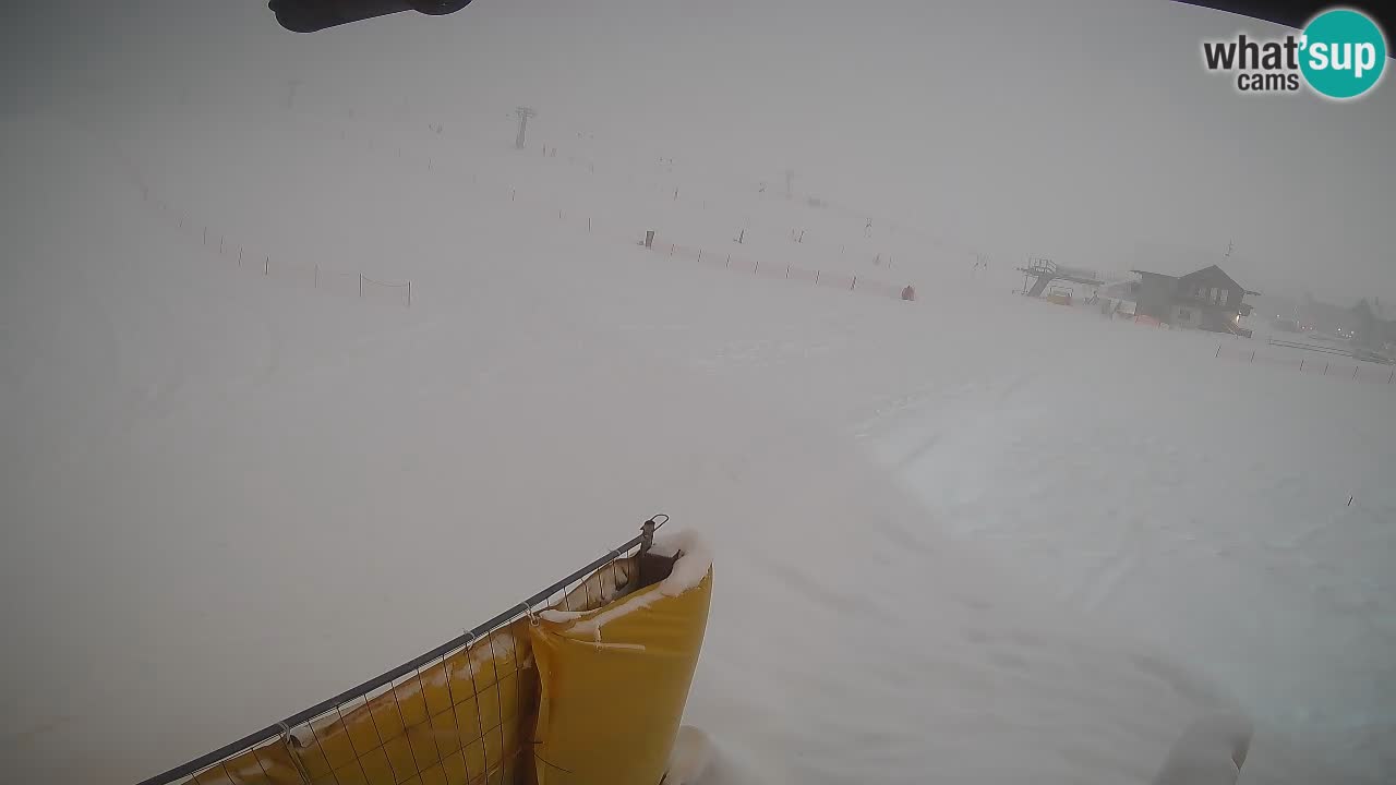 Livigno live webcam – view on Livigno Ski School area – LivignoGO