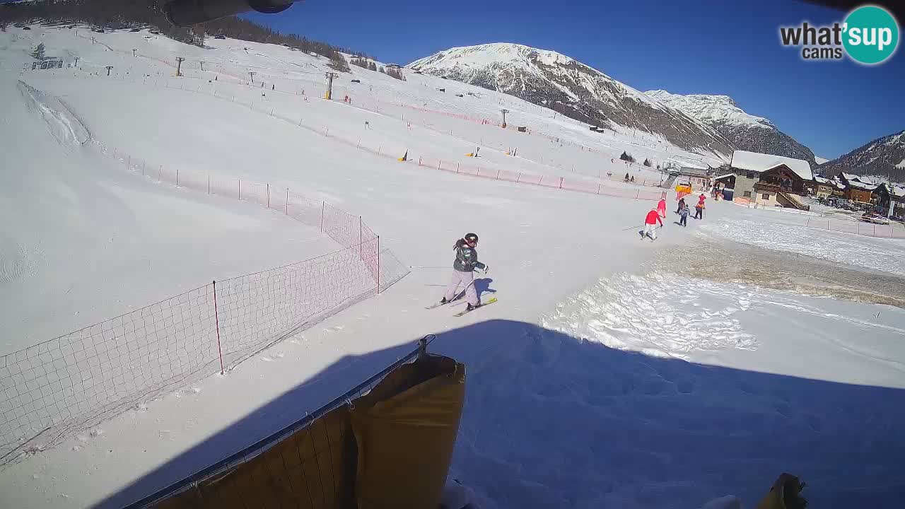 Livigno SKI webcam | Piste da SCI