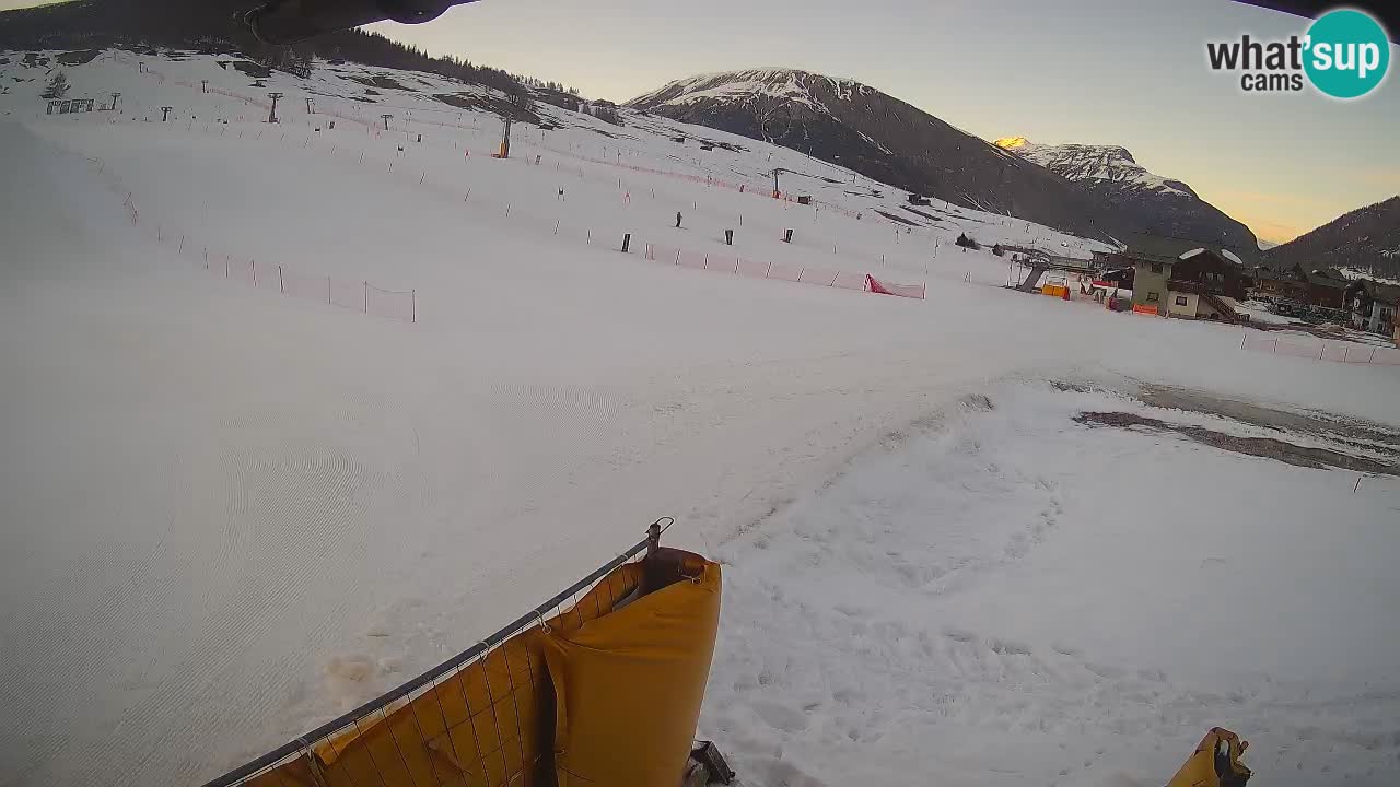 Livigno SKI webcam | Piste da SCI