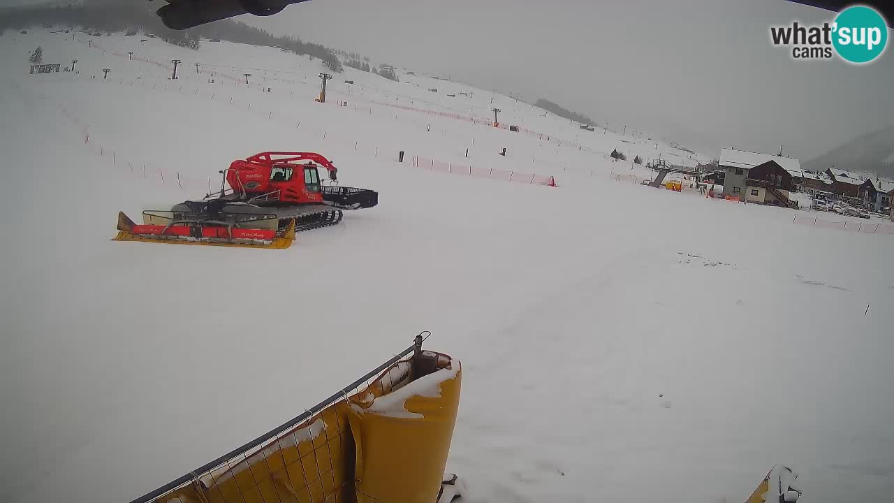 Livigno SKI webcam | Piste da SCI