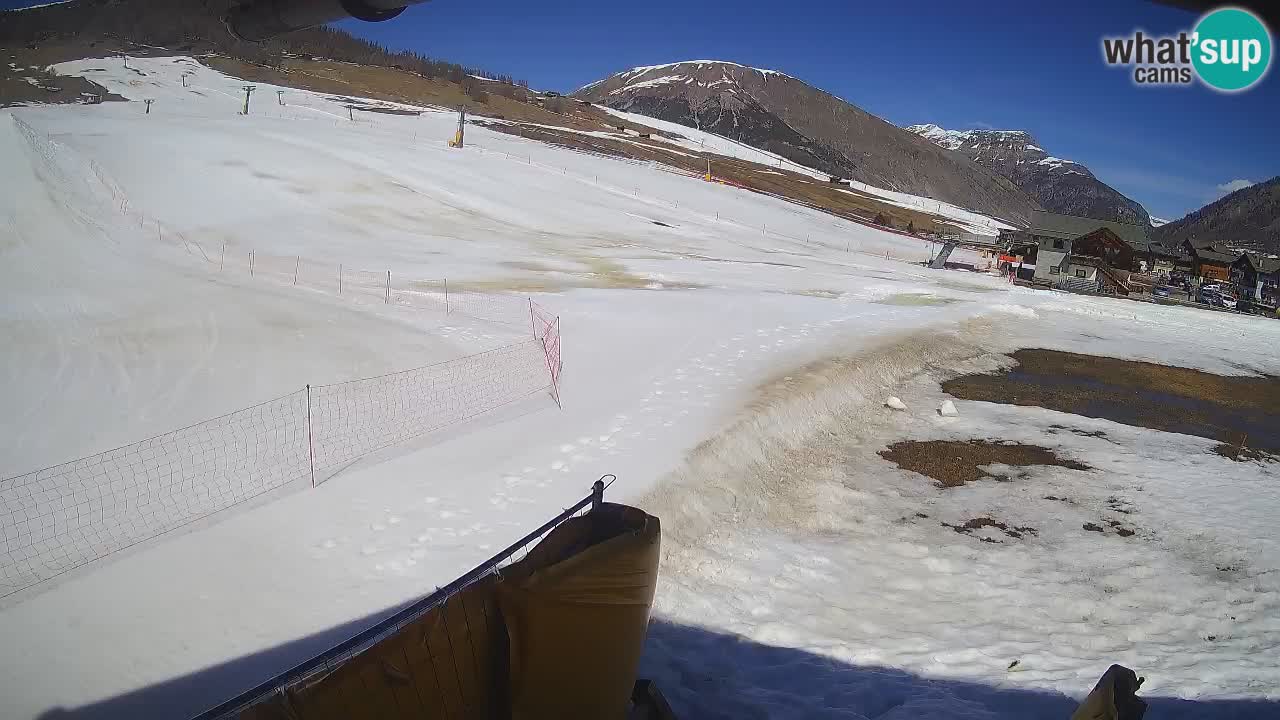 Livigno webcam – view on Livigno Ski School area – LivignoGO
