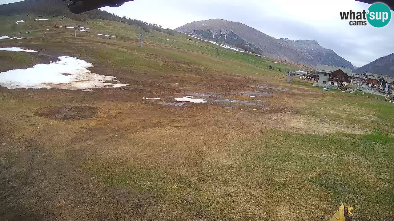 Livigno LIVE cam smučišče | pogled na smučarske proge